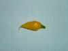 Habanero Hot Lemon - mål