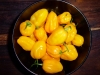 Habanero Yellow Bumpy - flere frugter