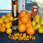 Citrusmarmelade med chili og gin - ingredienser