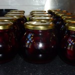 Cherries in spiced port wine syrup - on glass