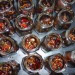 Balsamicosyltede perleløg med chili - krydderierne er fyldt i glassene