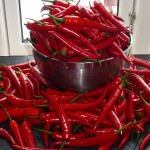 Chili sauce - chili