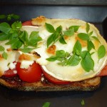 På groft brød med tomat, gedeost og basilikum