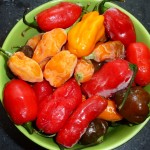 Syltede rødbeder med chili og nelliker - chilierne